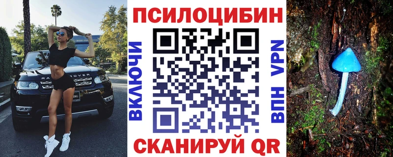 Псилоцибиновые грибы мухоморы Павлово