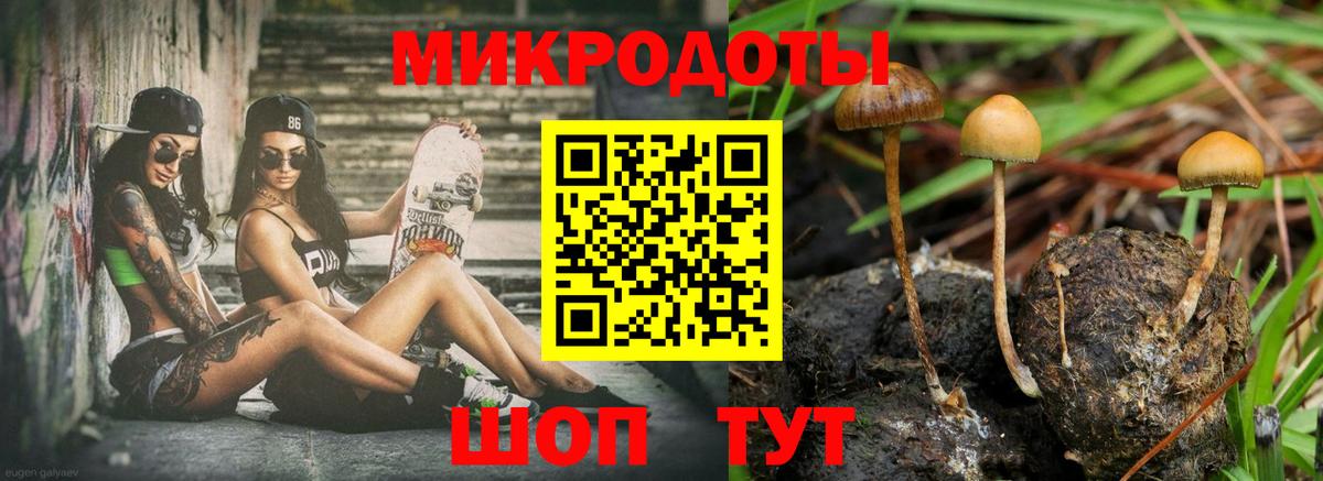 даркнет сайт  Вход с VPN  Павлово  Галлюциногенные грибы прущие грибы 